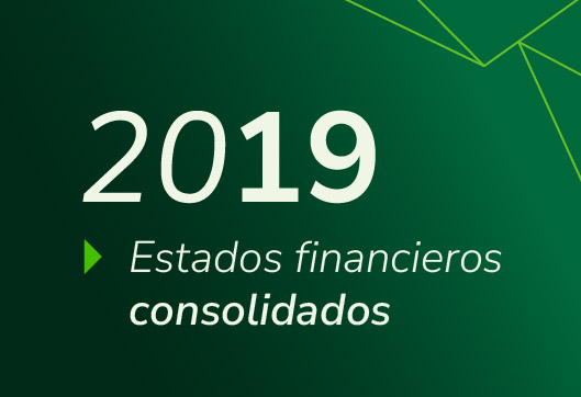 Estados Financieros Propuestas Consolidado 2019